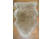Skin Sheep 7007 camel - high quality at the best price in Ukraine - image 2.